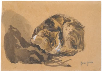 Studie einer Katze, 1905-08